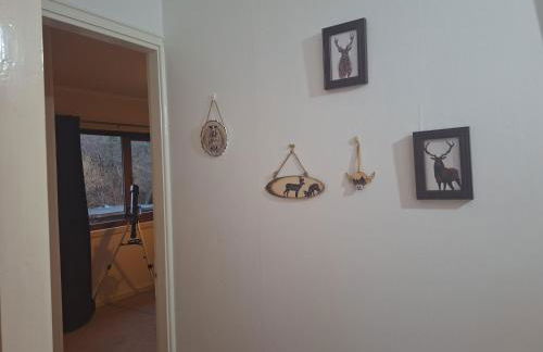 Twin Deer Lodge - Foto 38