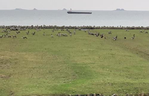 Bi uns to hus - Morgensünn - Foto 24