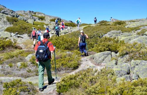 Solar da Castanha - Forest House - Foto 14