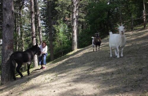 Fattoria Belvedere - Foto 13