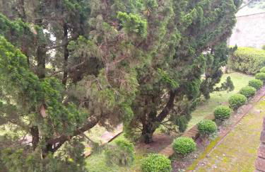 Chácara dos Pinheiros - Foto 27