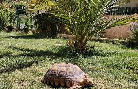 Villa près des remparts - Foto 10