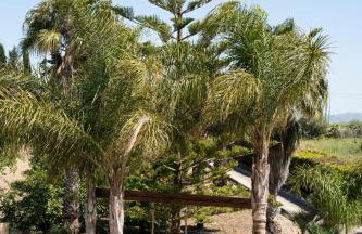 Villa Gioiosa Vacation in Sicily a child friendly villa with private fenced pool & hydro-massage - Foto 26