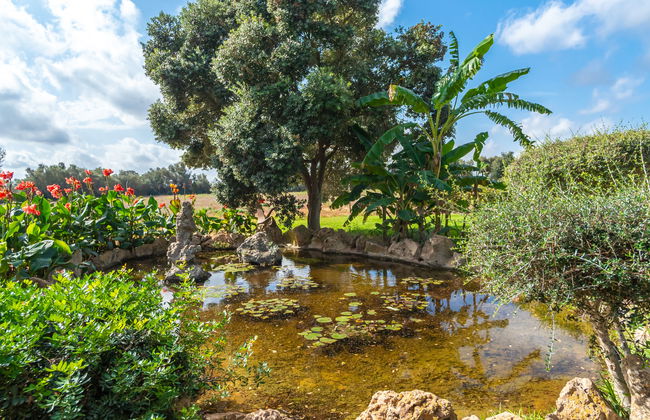 Es Garrigo de Son Mora - Foto 33