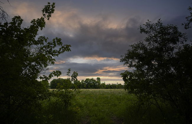 Boho Beaver - Foto 25