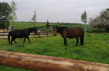 Aux doux logis - Foto 22