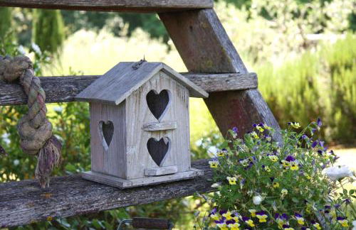 Il Vecchio Milipano - Foto 16