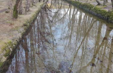 Casinhas da aldeia-casa da xiquita - Foto 26