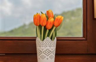 Villa Vinea - Foto 38