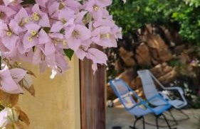 Toca do Frei - Ilha do Ferro - Foto 4