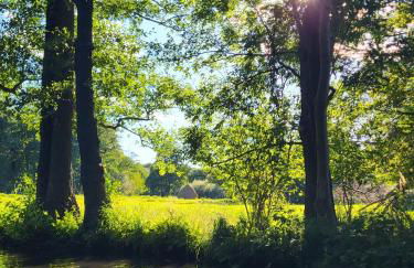 Ferienwohnung bei Hartmann`s - Foto 14