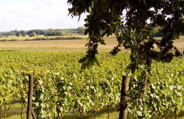 Dom Wakacyjny Quattro Niesulice - Foto 49