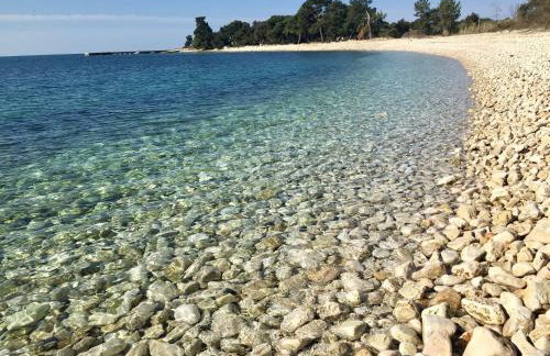 Apartment Enis - Photo 33