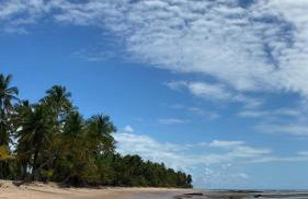 Casa Brisa - sossego a 50 mts da Praia da Bombaça em Barra Grande - Foto 30