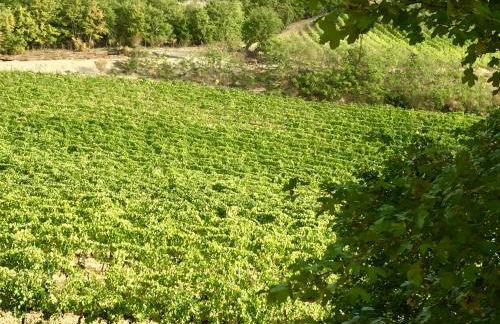 Agriturismo San Gregorio - Foto 66