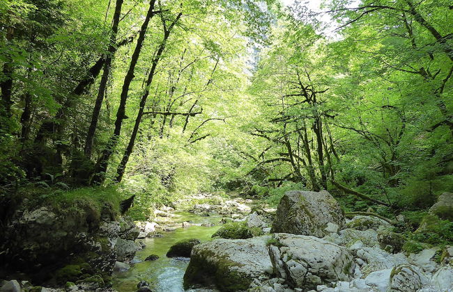 Baita La Ciamorza Near Dolomiti - Veneto - Foto 21