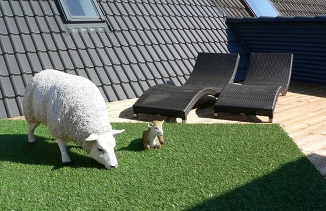 Nordsee Domizil Schobüll - Foto 58