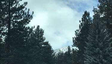 Mountainback 111 - Foto 4, Other