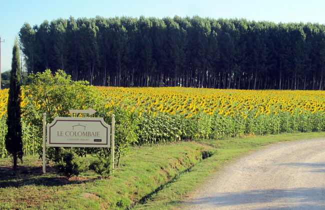 Le Colombaie Country Resort - Foto 17