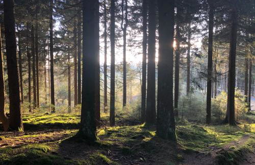 Zur alten Fabrik - Photo 32