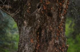 L'Angelica Corte Palazzina, Country Retreat - Foto 69