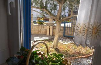 Olive Tree Apartments - Photo 34