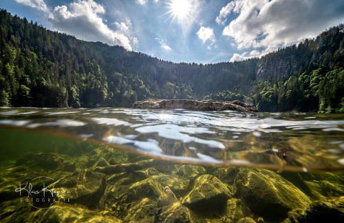 Haus Wiesenquelle - Fewo 14 "Timeout", Feldberg - Foto 32