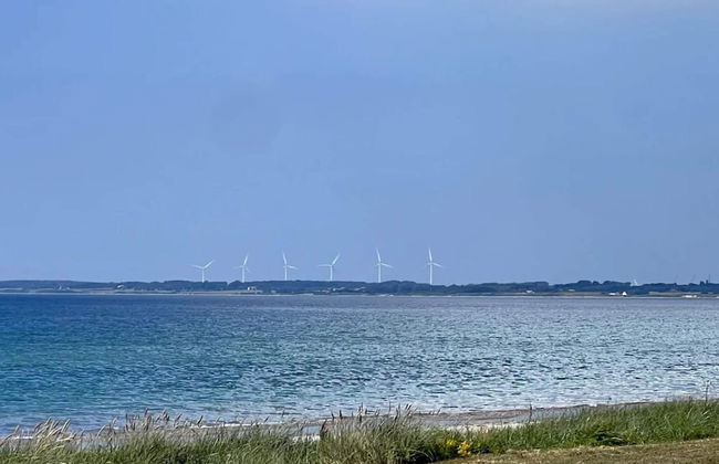 4 Person Holiday Home in Store Fuglede - Foto 39