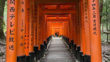 popobawa TESTING ONLY - Foto 2