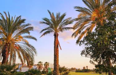 Vista Del Sol - Foto 45