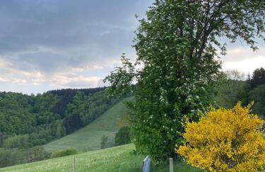 Ferienwohnung Vierländereck nahe Winterberg - Foto 13