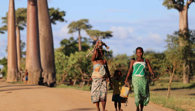 Conoceremos las costumbres y tradiciones de la población local