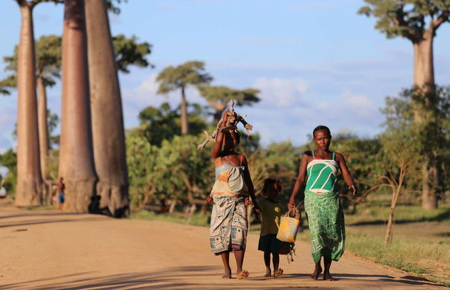 Safari de 10 días por lo mejor de Zambia - Foto 4