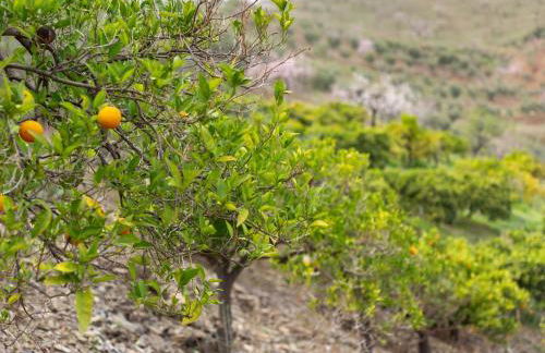 Alojamiento Rural Casa La Era - Foto 20