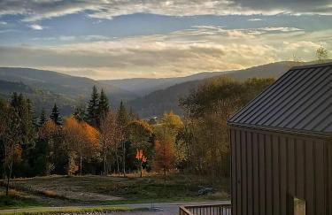 Czarne Domki Krempna z prywatnym jacuzzi - Foto 26