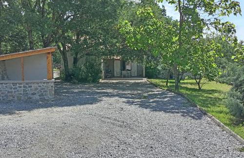 Les Papillons - Photo 7