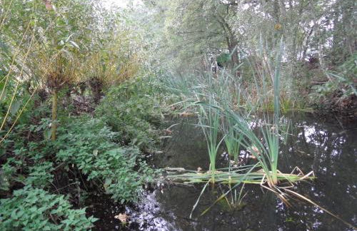 Ferienwohnung Blick zu den Sternen - Foto 19