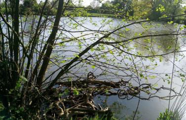 Les Clés Nature Apt 44 - Foto 8