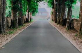 L' Extravagante im Garten von Schloss Schmidtheim - Foto 11