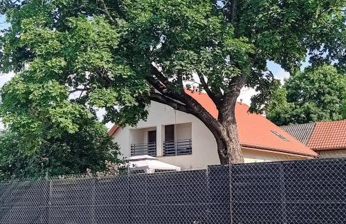 Pokoje gościnne Słoneczny Klon Dąbrówno - Foto 70