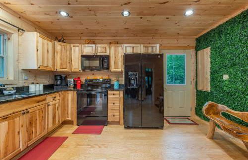 Modern Asheville Cabin Retreat - Foto 16