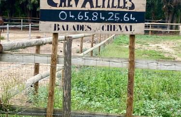 Le Petit Saint Trophime - Foto 17