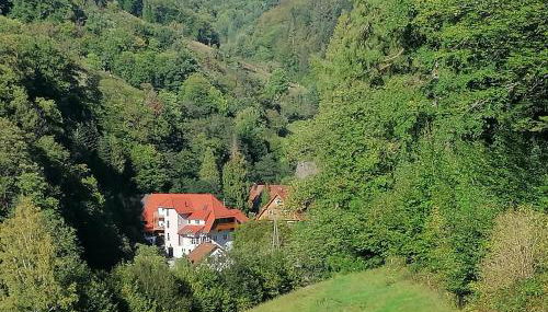 Huberhof Pfaffenbach - Foto 2