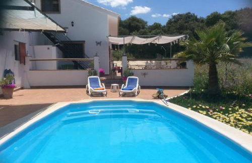 Finca Los Jacaros - Foto 4