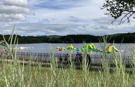 F1 noir/anis, avec terrasse couverte et jardin (E) - Foto 19
