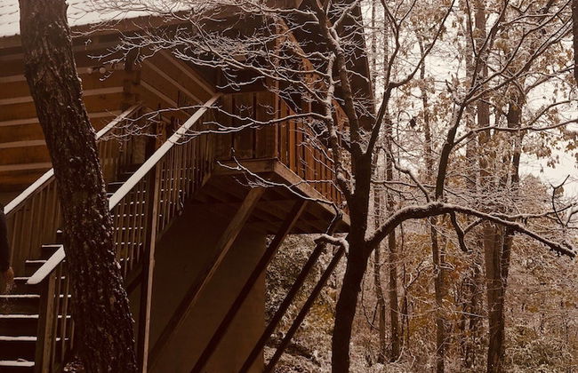 Blessed Nest - Photo 30