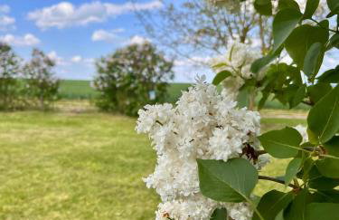 La Maisonnette de Chevannes - Foto 7