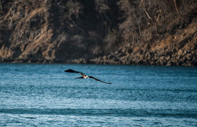 Coco Breeze Private Residence - Foto 69