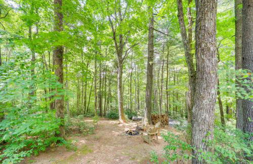 Private Cabin on 2 Acres Hot Tub, 10 Mi to Boone! - Foto 27