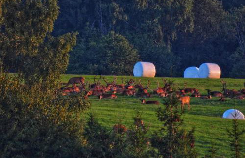 VIA Bieszczady - Foto 53